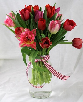Tulips In A Mason Jar  |  Periwinkle Flowers Toronto